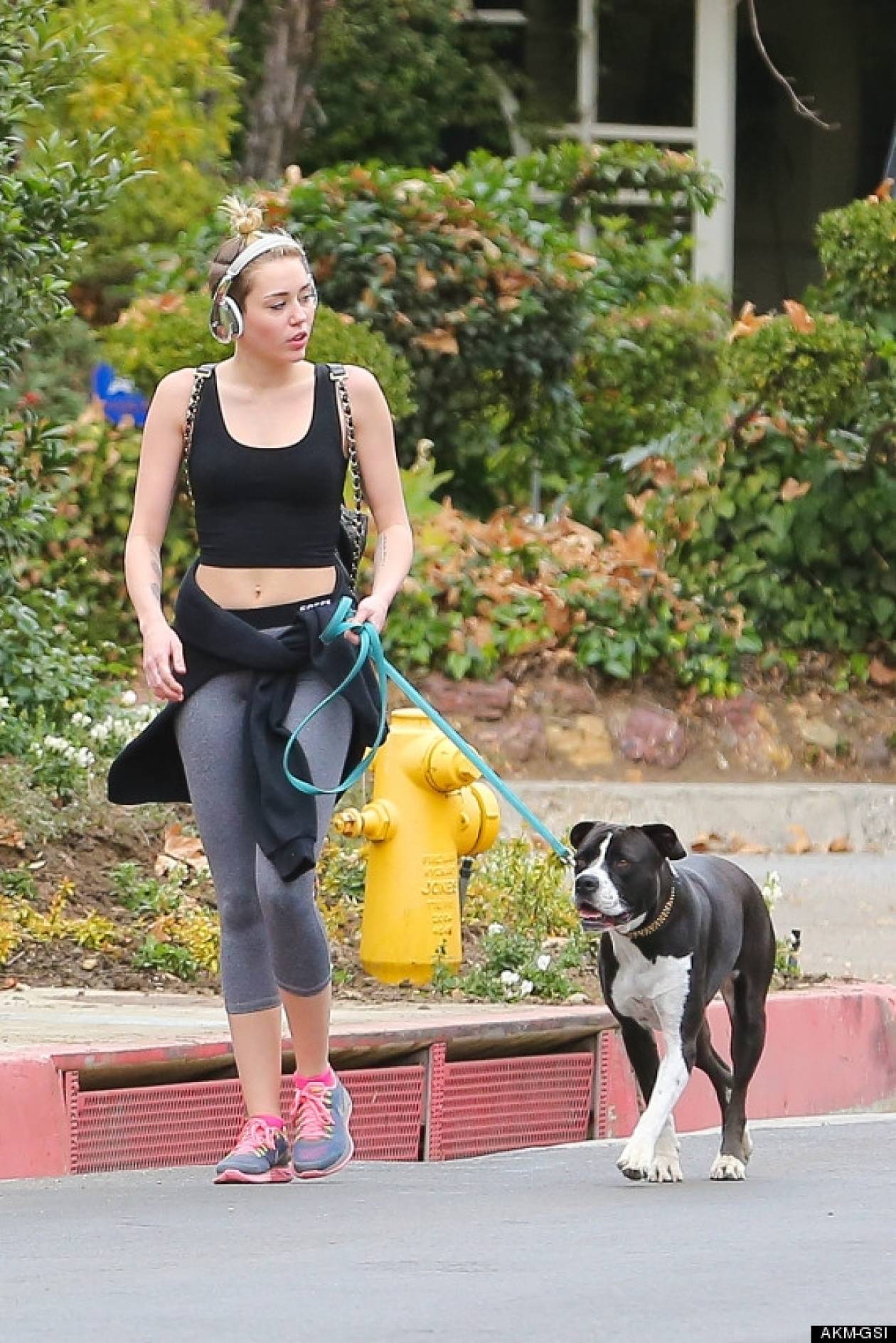 Η Μάϊλι Σάϊρους βγάζει βόλτα τον σκύλο της, με τσάντα 1,500 δολαρίων