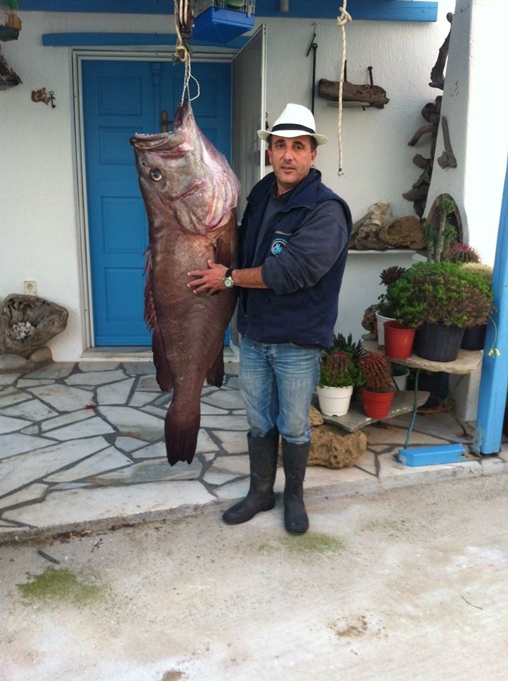 Μύκονος: Πήγε για μπαλάδες και έπιασε ένα ψάρι 50 κιλών (pic)