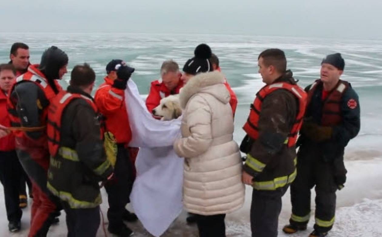 Επιχείρηση διάσωσης σκύλου σε παγωμένη λίμνη στο Σικάγο (βίντεο)