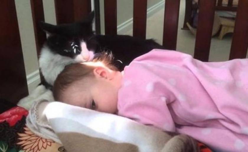 Η γάτα που μπέρδεψε το παιδί με το γατάκι της (vid)