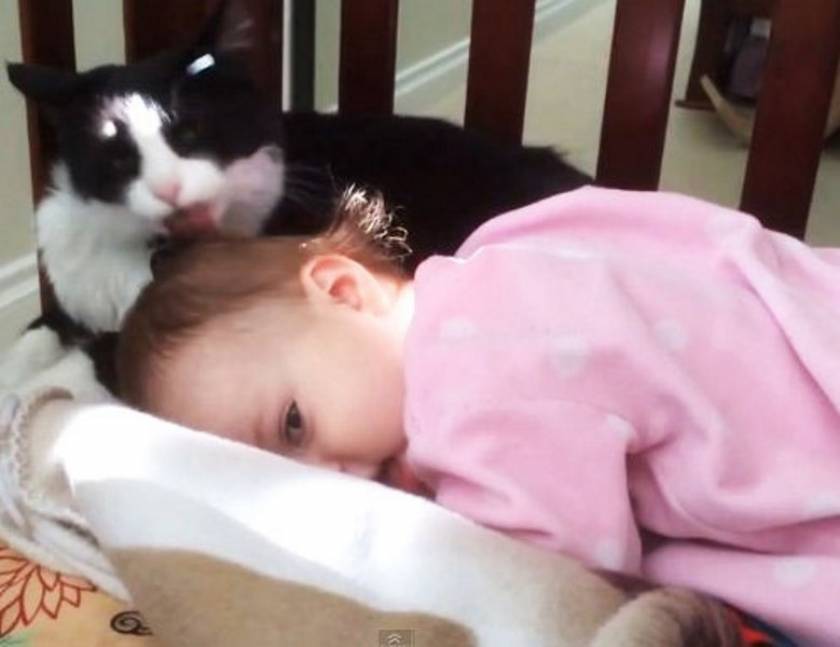 Γάτα δείχνει τρυφερότητα σε μωρό! (vid)