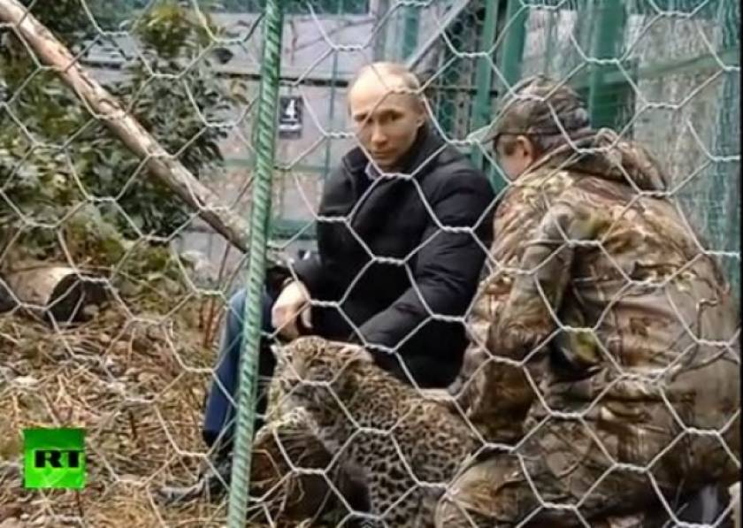 Σε κλουβί με λεοπαρδάλεις μπήκε ο Πούτιν (vid)