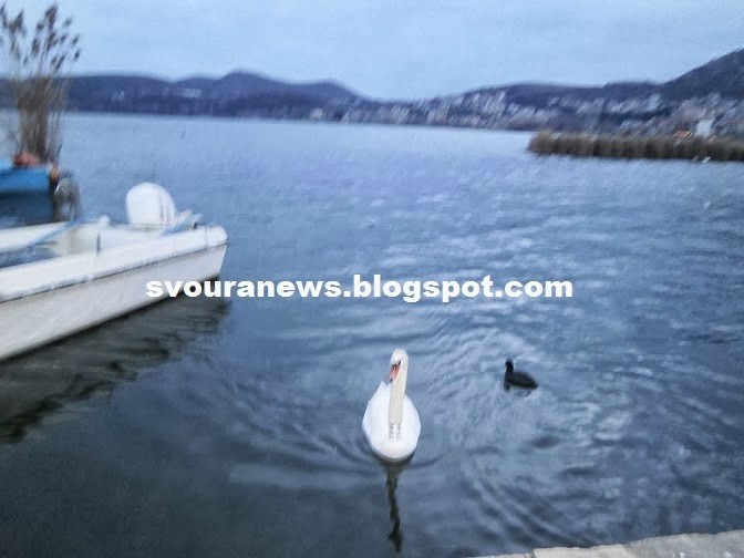 ΑΝΑΤΡΙΧΙΑΣΤΙΚΗ ΦΩΤΟ: Είδε γυναικείο πρόσωπο στη λίμνη της Καστοριάς
