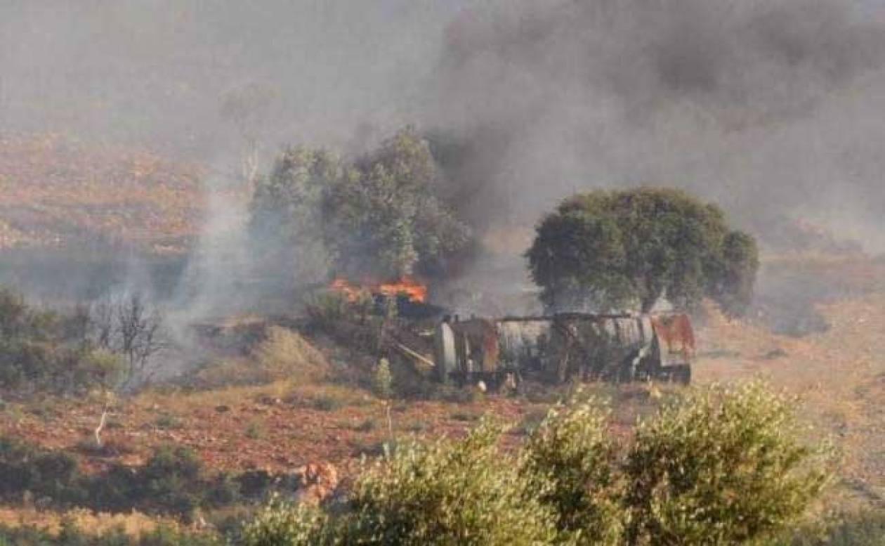 Νεκρά περισσότερα από 100 πρόβατα από φωτιά στο Καλονέρι Τρικάλων
