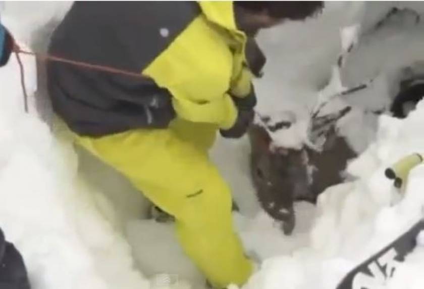 Συγκλονιστικό βίντεο: Σκιέρ κατάφεραν να σώσουν ελαφάκι μέσα στο χιόνι
