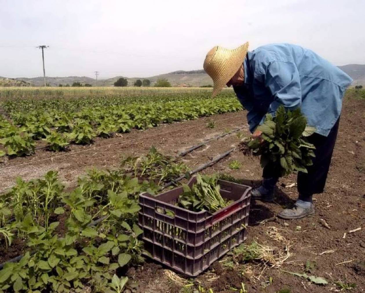 ΥΠΟΙΚ: Διευκρινίσεις για υποβολή μισθωτηρίων από αγρότες