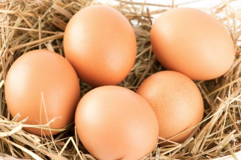ΑΠΙΣΤΕΥΤΟ: Δικηγόρος πήρε ως αμοιβή... αυγά και ξινόγαλο!