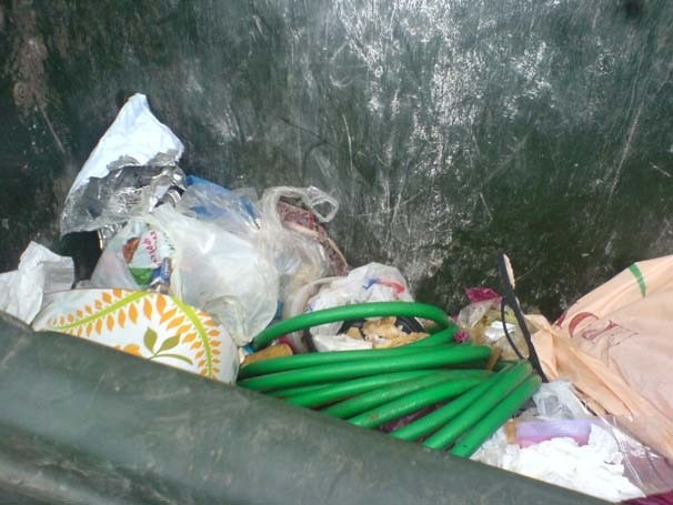 Θηριωδία στα Χανιά: Πέταξαν ζωντανό στα σκουπίδια σκελετωμένο σκύλο!