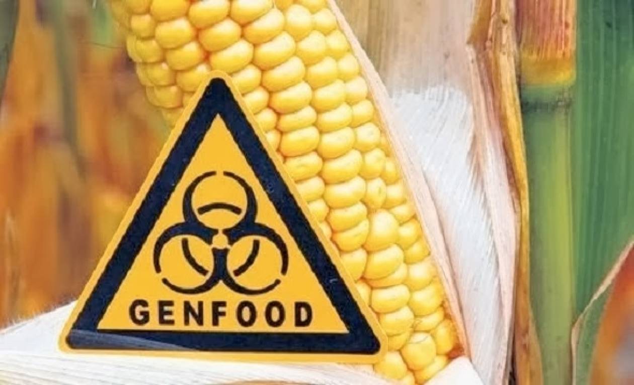 Γαλλία: Απαγορεύτηκε το γενετικά τροποποιημένο καλαμπόκι