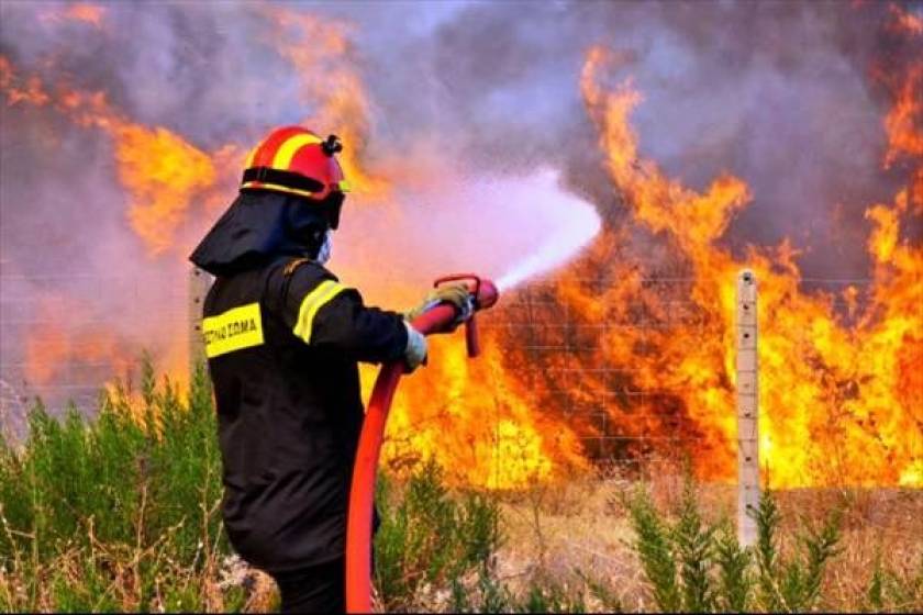 Πυρκαγιές έκαψαν δεκάδες στρέμματα σε Κοζάνη και Πέλλα