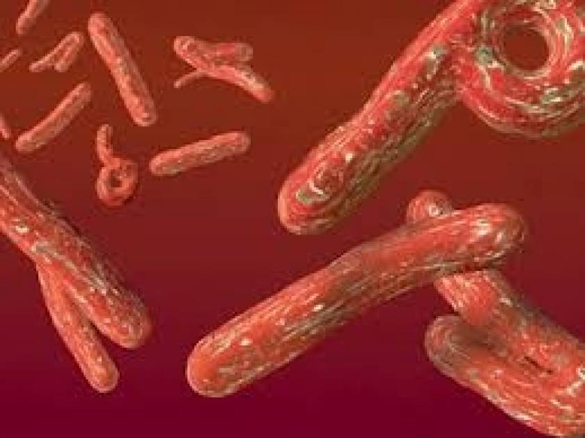 Πρώτη φορά εντοπίστηκαν κρούσματα του ιού Έμπολα στην Κόνακρι