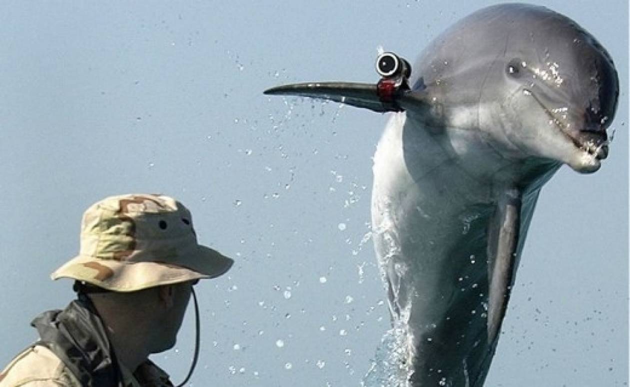 Στο ΠΝ της Ρωσίας τα δελφίνια μάχης της Κριμαίας