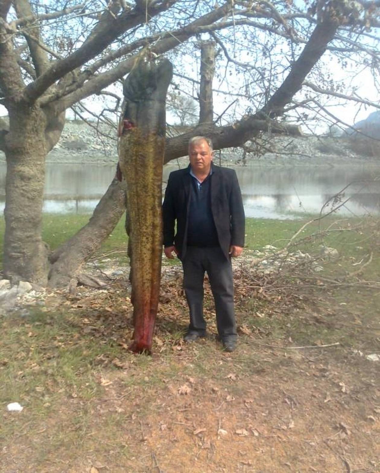 Γουλιανό… μαμούθ, 167 κιλών, ψάρεψαν αλιείς στο νομό Κοζάνης