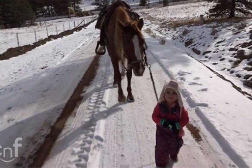 Κοριτσάκι βγάζει βόλτα ένα... άλογο (video)