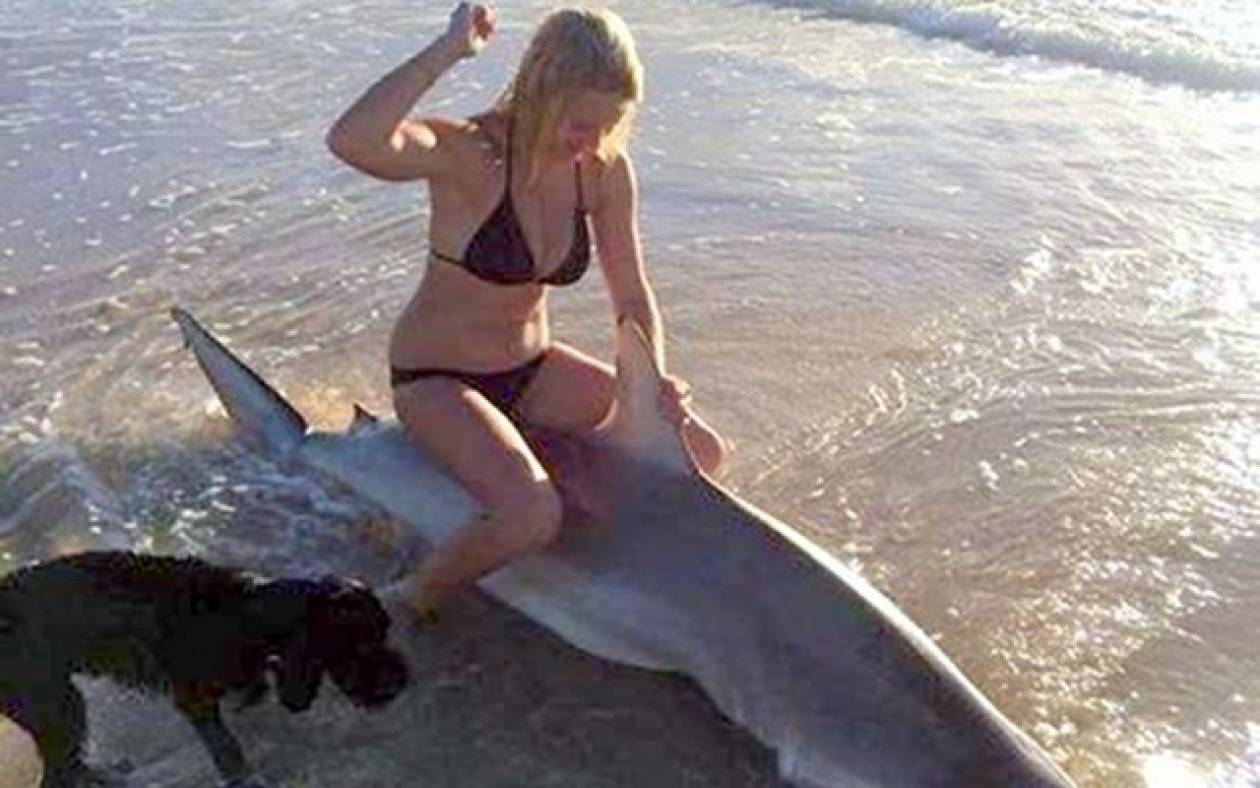 Νεαρή με μπικίνι ποζάρει δίπλα σε καρχαρία που ξέβρασε η θάλασσα