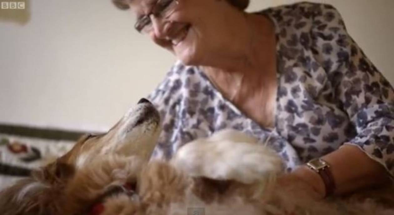 Βρετανία: Σκύλος την έσωσε από τον καρκίνο (video)