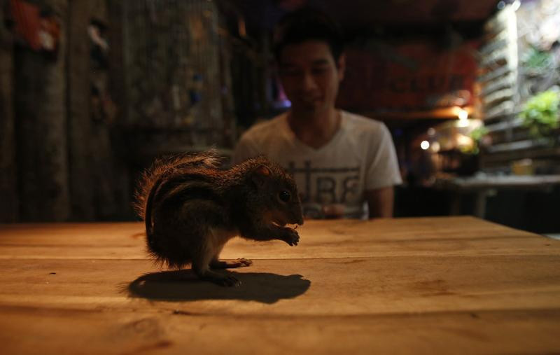 Βιετνάμ: Πιες το καφέ σου δίπλα σε ποντικούς και φίδια! (photos)
