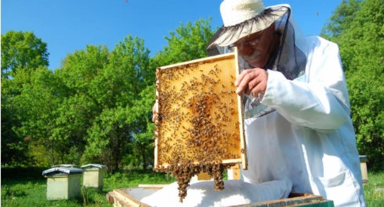 Δράμα: Τριήμερο ενημερωτικό σεμινάριο για νέους μελισσοκόμους