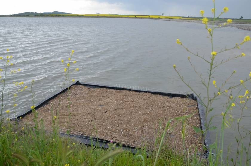 Νέα πλωτή εξέδρα για τα γλαρόνια στη λιμνοθάλασσα της Ν. Κεσσάνης