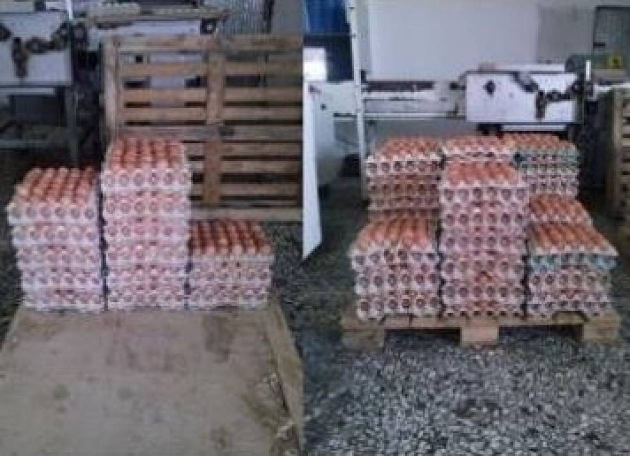 ΕΦΕΤ: Κατέσχεσε 52.000 αυγά στον Έβρο