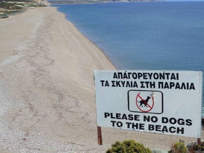 No place for dogs on beaches