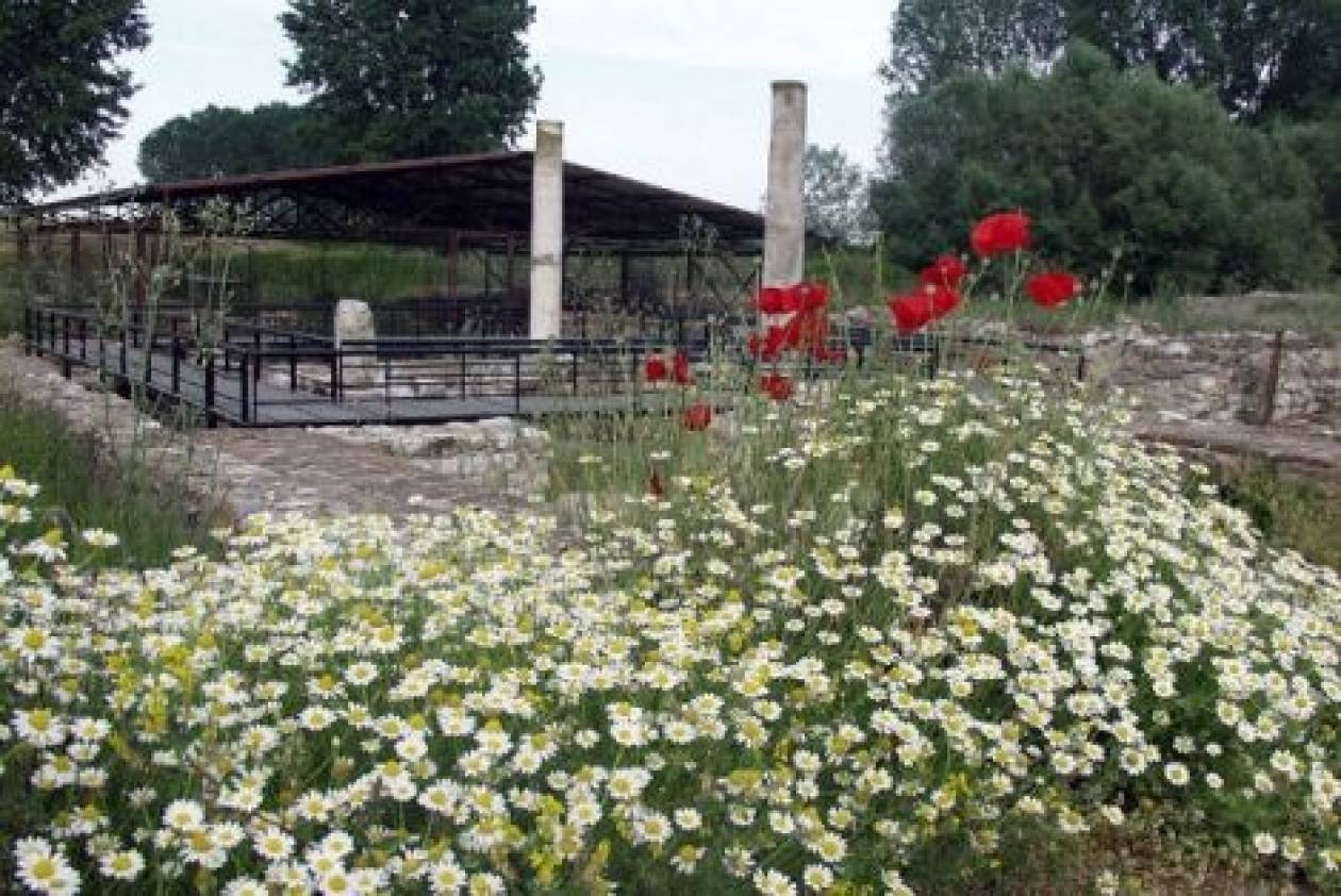 Πιερία: Τα φυτά των Θεών στο αρχαιολογικό πάρκο του Δίου
