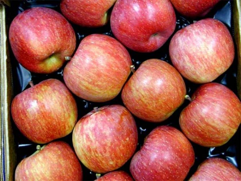 Δέσμευσαν ποσότητα μήλων βελγικής προέλευσης