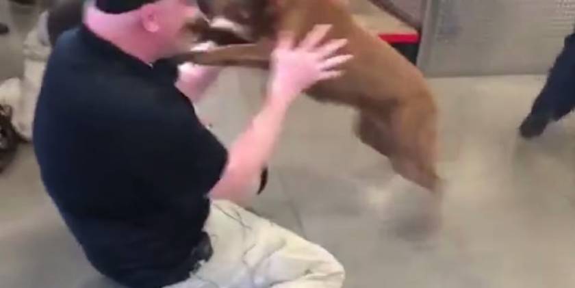 Βίντεο που ραγίζει καρδιές: Στρατιώτης ξαναβρίσκει τον σκύλο του
