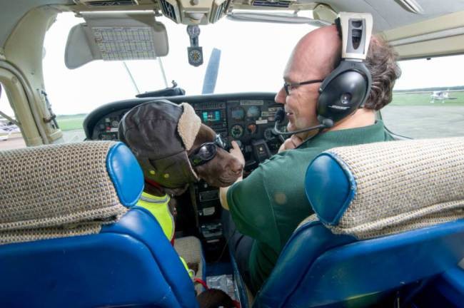 Ο πρώτος σκύλος με άδεια συγκυβερνήτη αεροπλάνου! (photos)