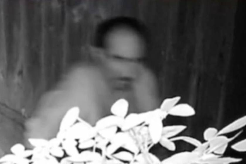 Τέξας: Καταζητείται άνδρας που ενεργείται σε ξένους κήπους! (video)