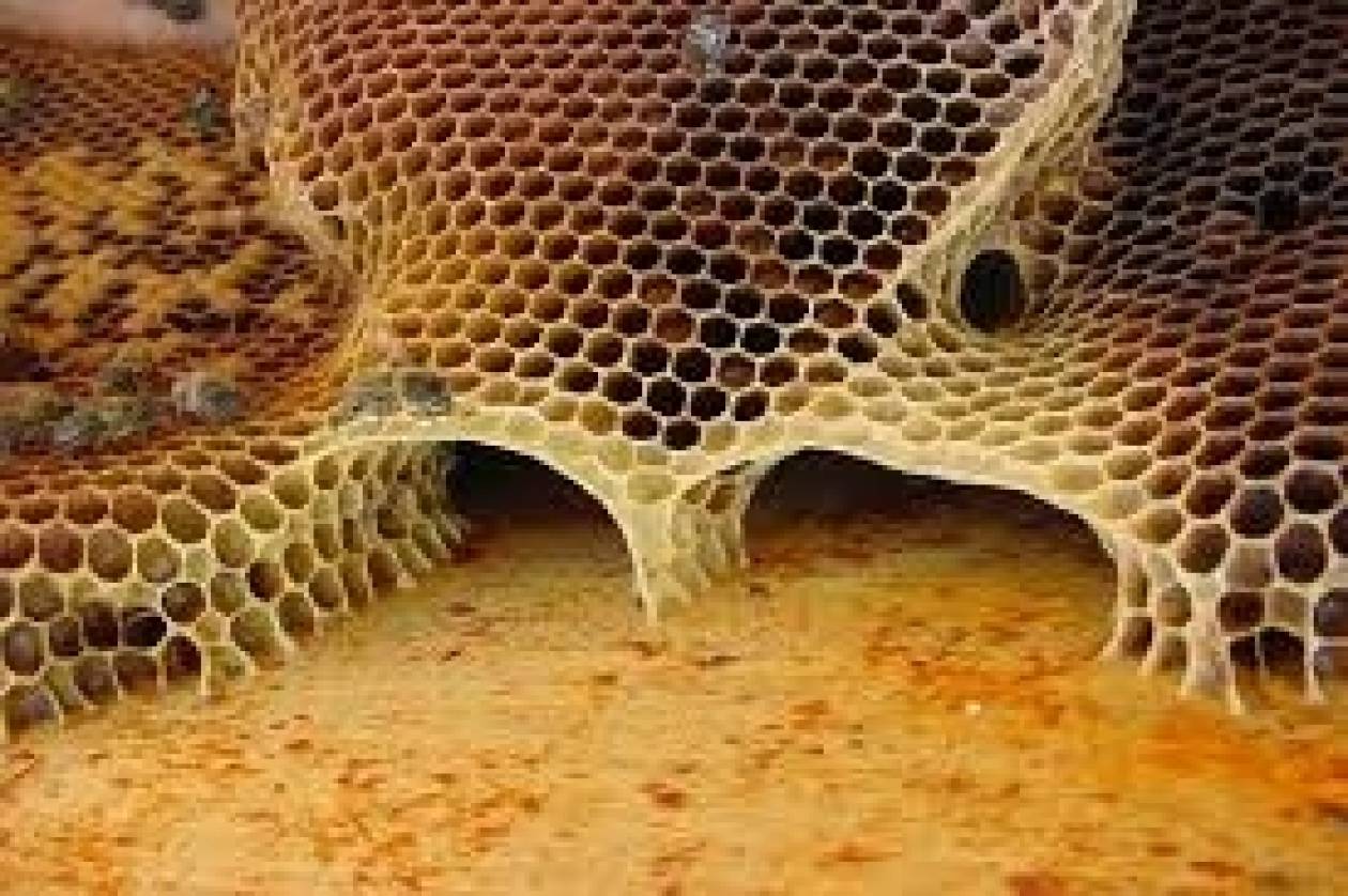 Επιχορήγηση ύψους 1,18 εκατ. € στη μελισσοκομία