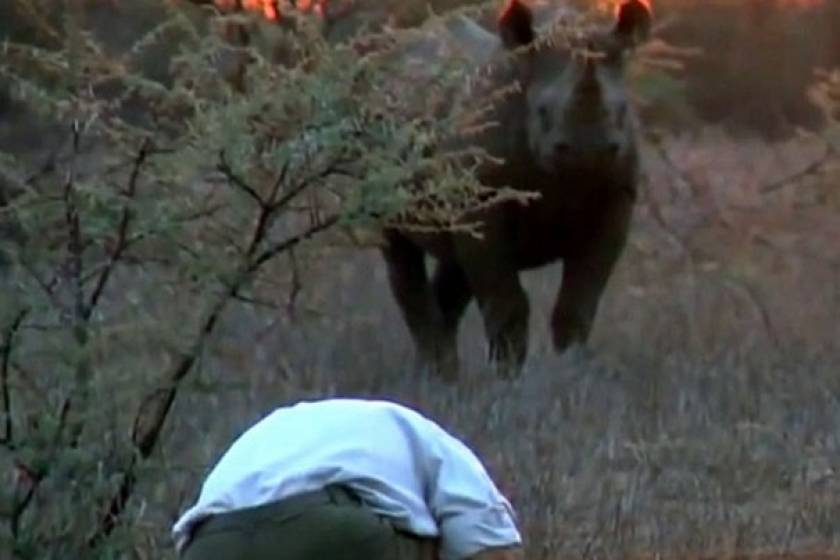 Άνδρας έρχεται αντιμέτωπος με σπάνιο και επιθετικό μαύρο ρινόκερο (Video)
