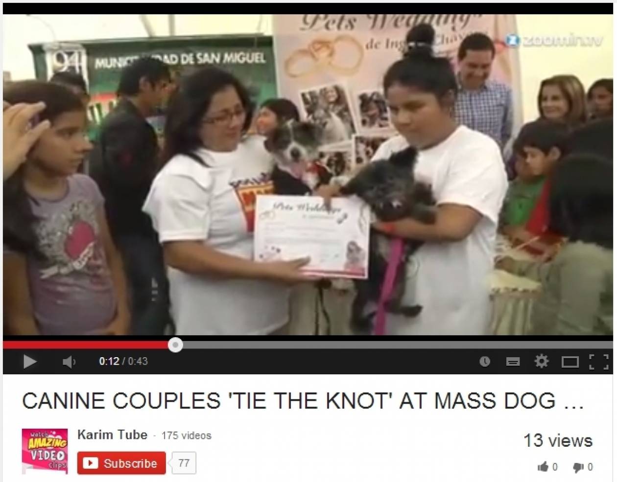 Δεκάδες σκυλιά... παντρεύτηκαν σε μαζική τελετή! (βίντεο)