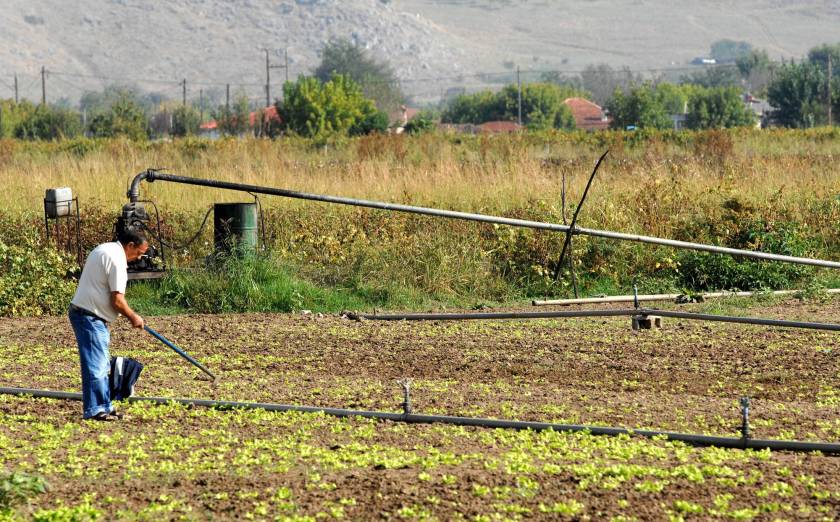 ΕΛΓΑ: Αποζημιώσεις 10 εκατ. ευρώ σε αγρότες