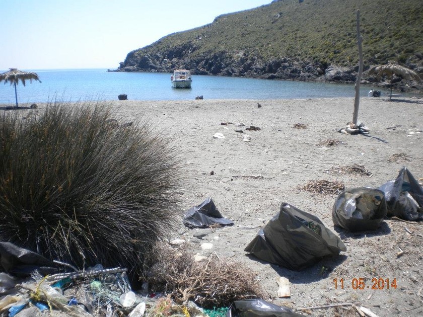 Οι εθελοντές καθάρισαν τις βόρειες παραλίες της Σύρου (pics)