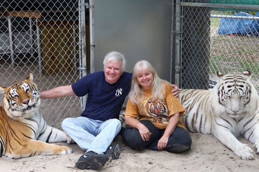 Φλόριντα: Δύο τίγρεις ζουν στην πίσω αυλή της! (video+photos)