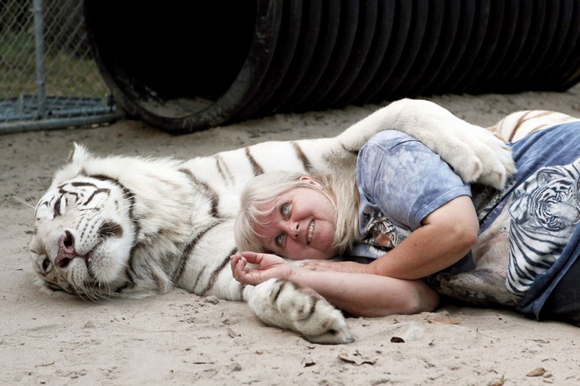 Φλόριντα: Δύο τίγρεις ζουν στην πίσω αυλή της! (video+photos)