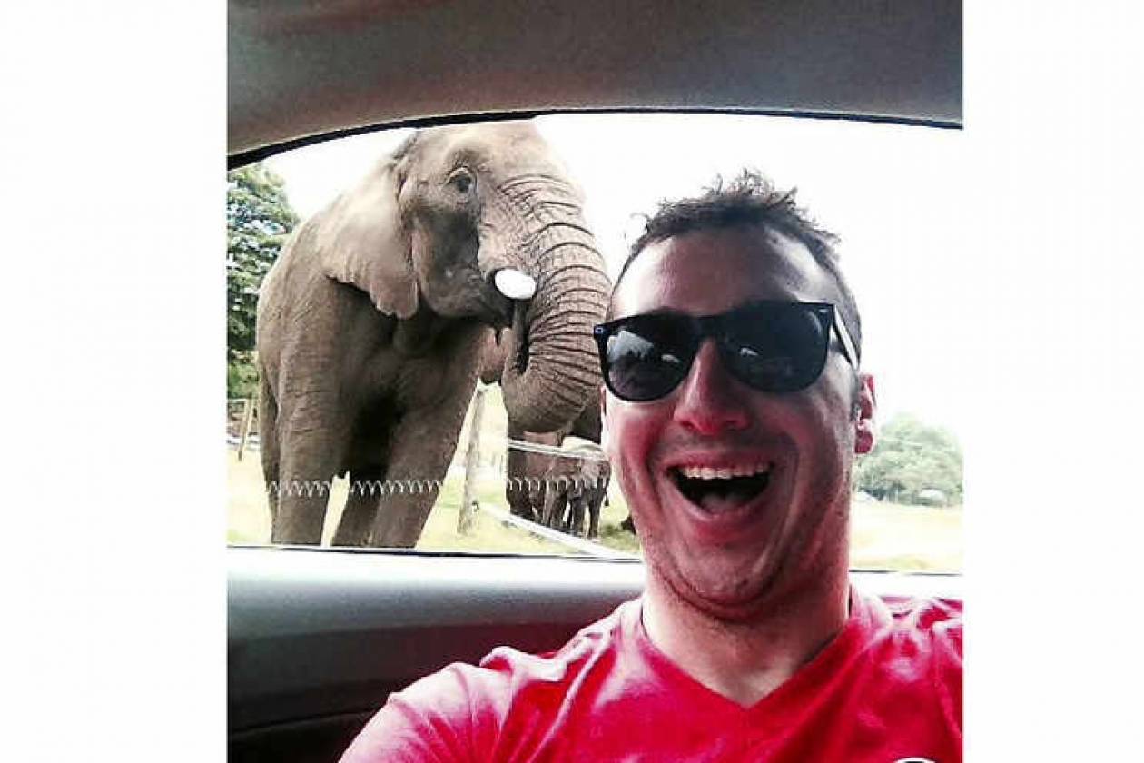 Η πρώτη selfie ελέφαντα στην ιστορία των selfies (pic)