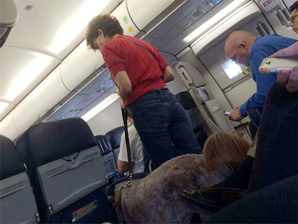 ΗΠΑ: Αναγκαστική προσγείωση αεροπλάνου λόγω… κόψιμο σκύλου! (video+photos)
