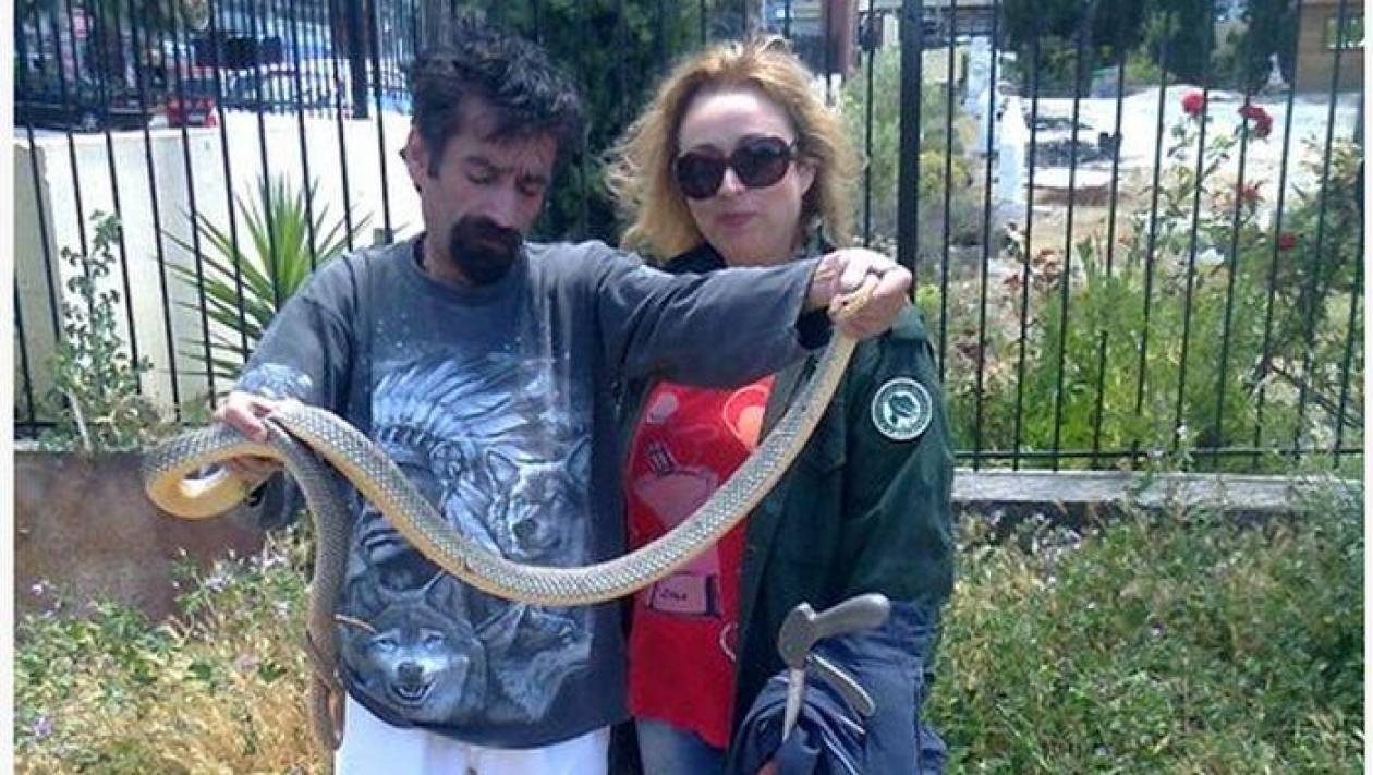Θεσσαλονίκη: Αναστάτωση από φίδι... 2 μέτρων σε σχολείο!