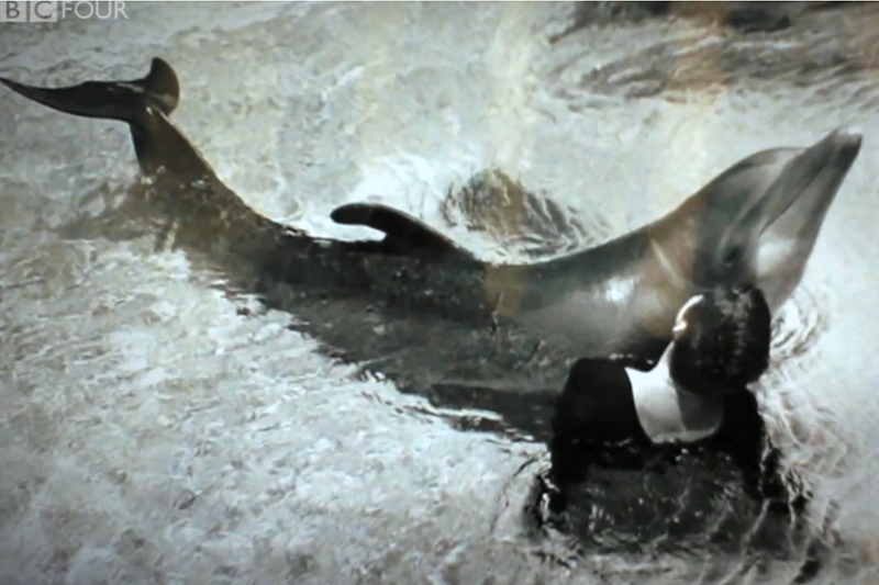 ΗΠA: Η γυναίκα που έκανε σεξ με δελφίνι λύνει τη σιωπή της! (video+photos)
