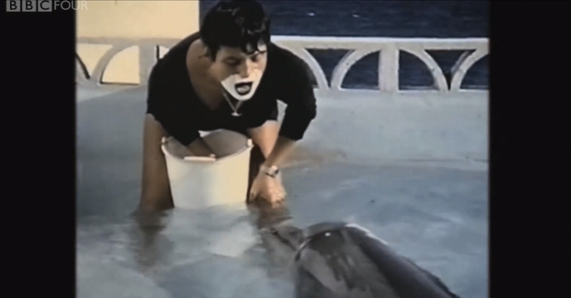 ΗΠA: Η γυναίκα που έκανε σεξ με δελφίνι λύνει τη σιωπή της! (video+photos)
