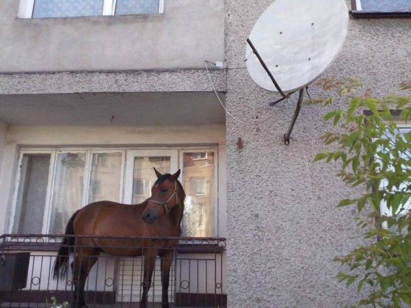 Έκρυψε το άλογο του στο... μπαλκόνι!