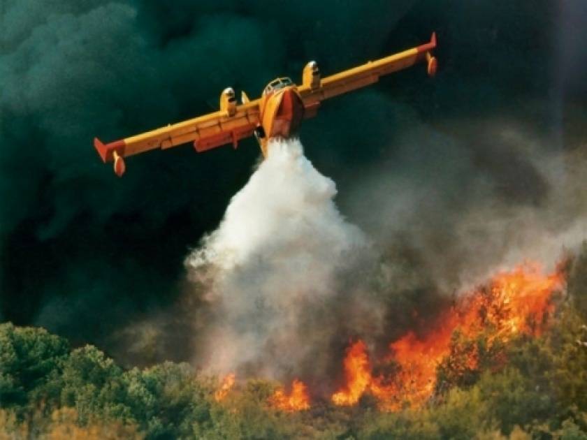 Μεγάλη πυρκαγιά σε δάσος της Χαλκιδικής