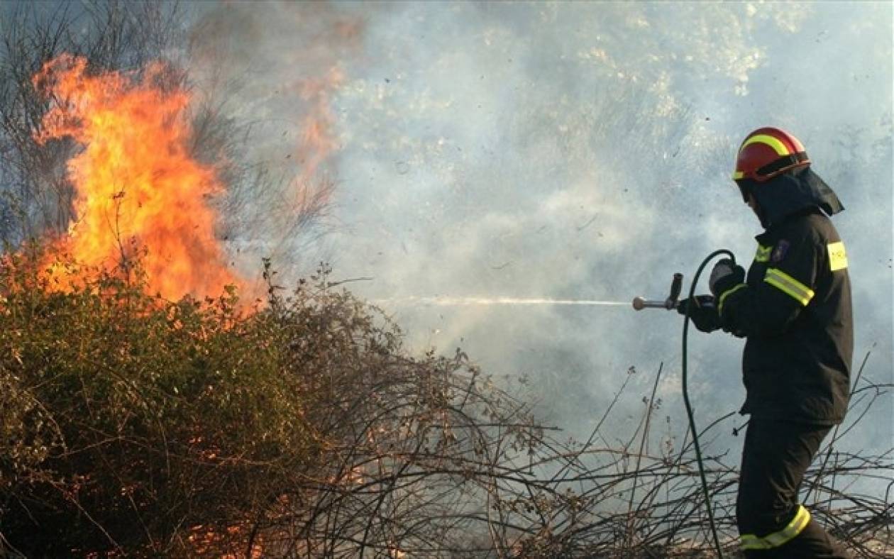 Δεν κινδυνεύουν κατοικημένες περιοχές από την πυρκαγιά στον Αρμενιστή