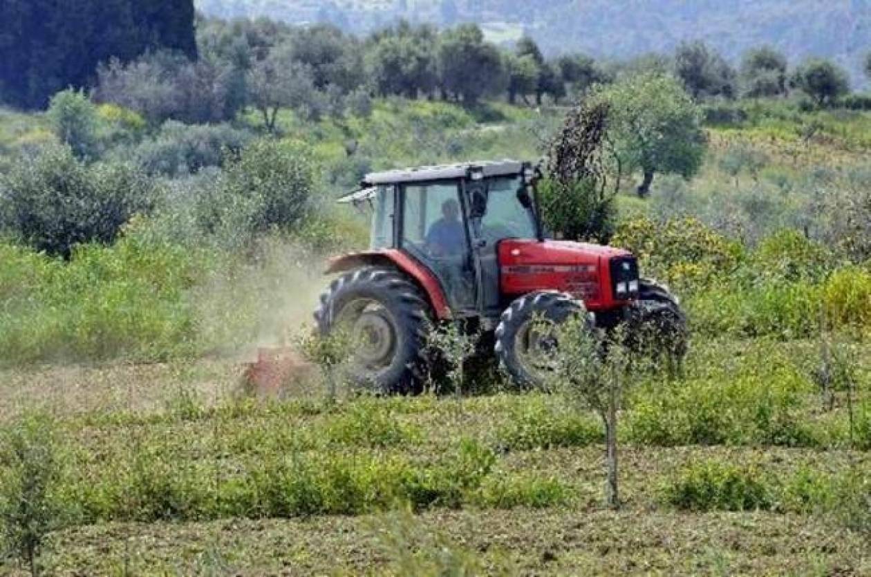 ΕΛΓΑ: Πρόγραμμα 5 εκατ. ευρώ για την προστασία των καλλιεργειών