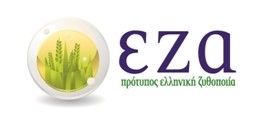 Ελληνογερμανικό Εμπορικό και Βιομηχανικό Επιμελητήριο: Γιορτάζει 90 χρόνια με την εzα! 