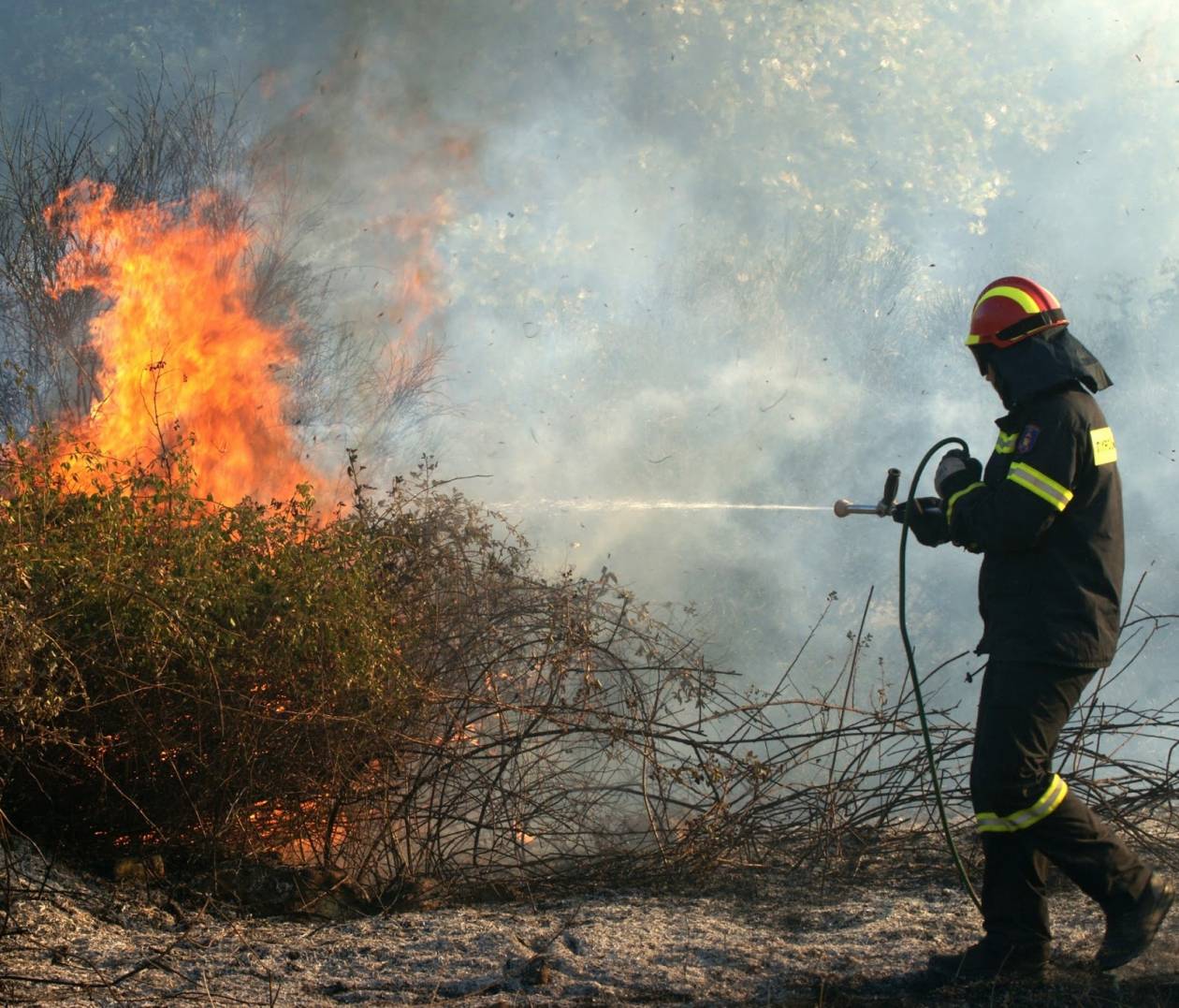 Χαλκιδική: Υπό μερικό έλεγχο η φωτιά σε δασική έκταση στη Σιθωνία