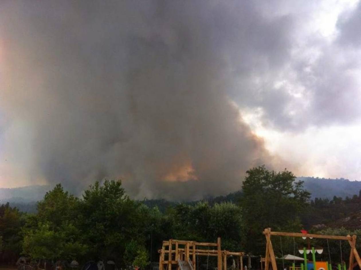 Σιθωνία: Έσβησε η φωτιά- Κάηκαν 550 στρέμματα