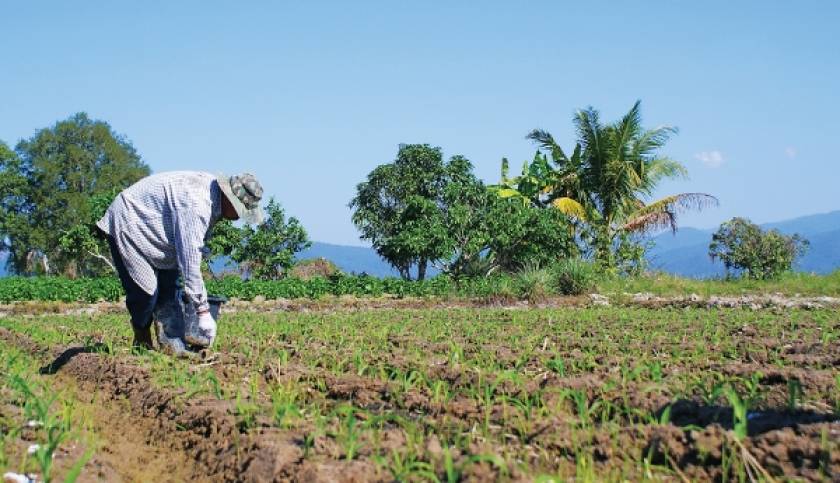 Νέα δικαιώματα ενιαίας ενίσχυσης σε αγρότες